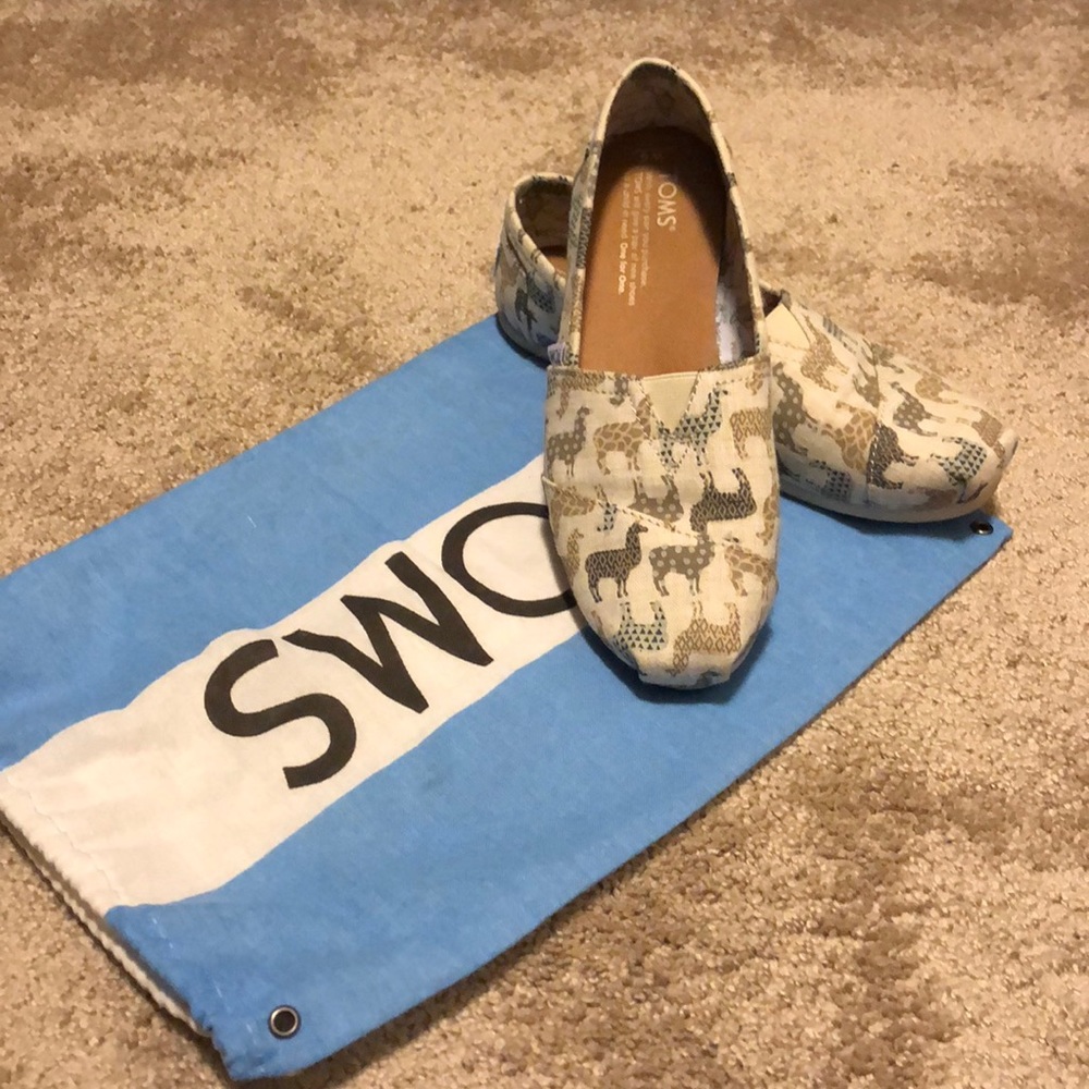 Toms slip ons